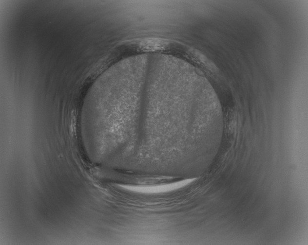 X0000082170315200702092250