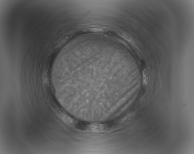 X0000082170317200702092250