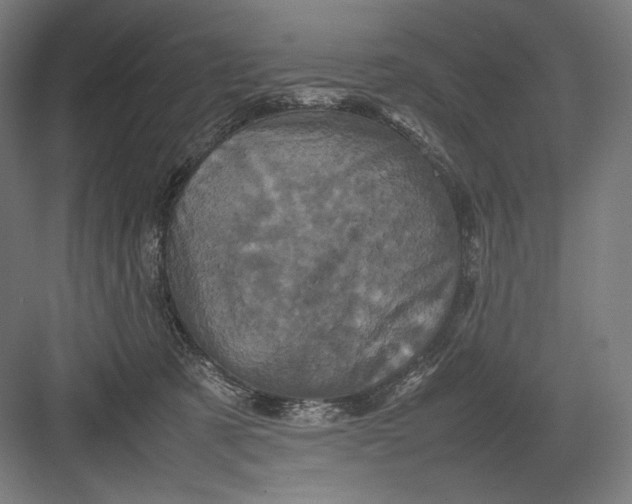 X0000082170321200702092250