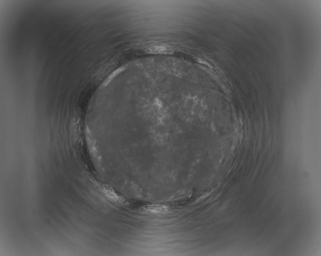 X0000082170322200702092250