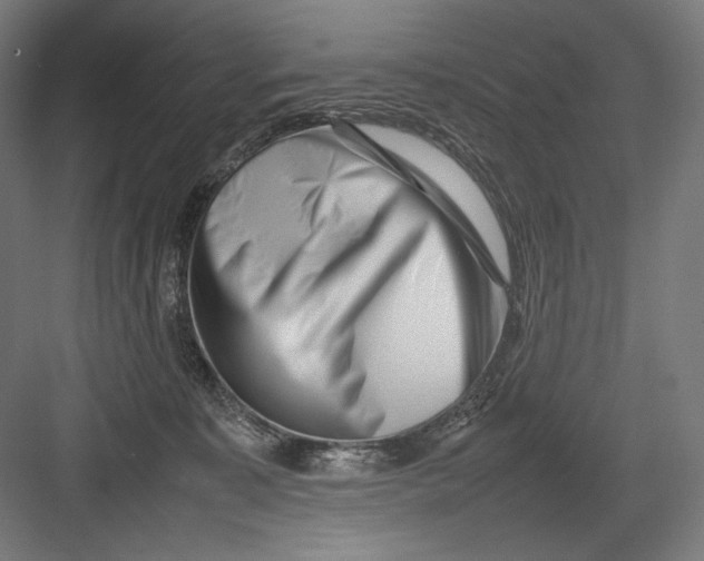 X0000082170323200702092250