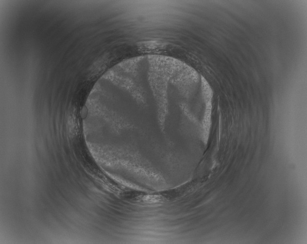 X0000082170324200702092250