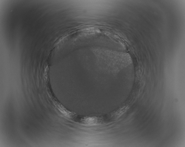 X0000082170325200702092250