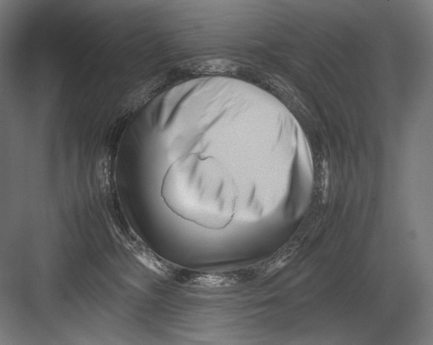 X0000082170326200702092250