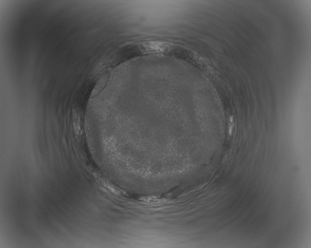 X0000082170331200702092250