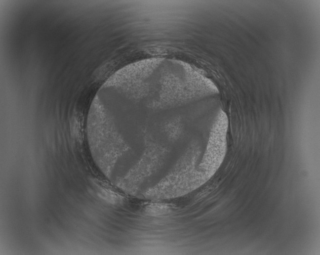 X0000082170332200702092250