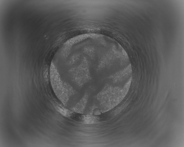 X0000082170336200702092250