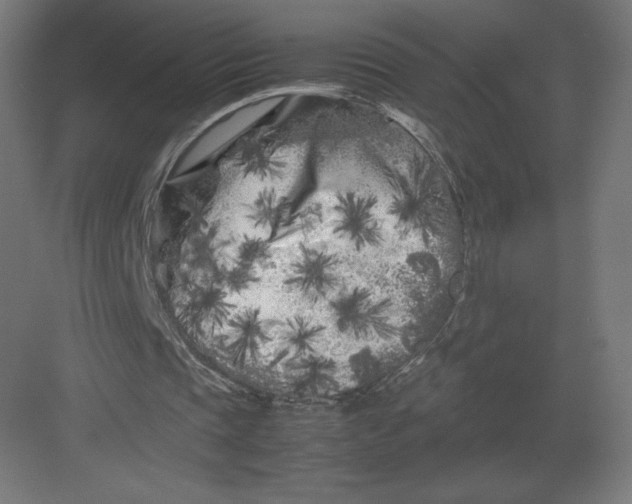 X0000082170337200702092249