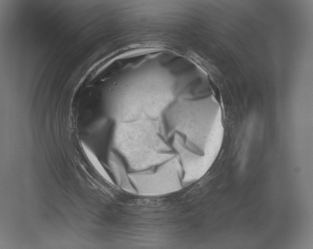 X0000082170338200702092249