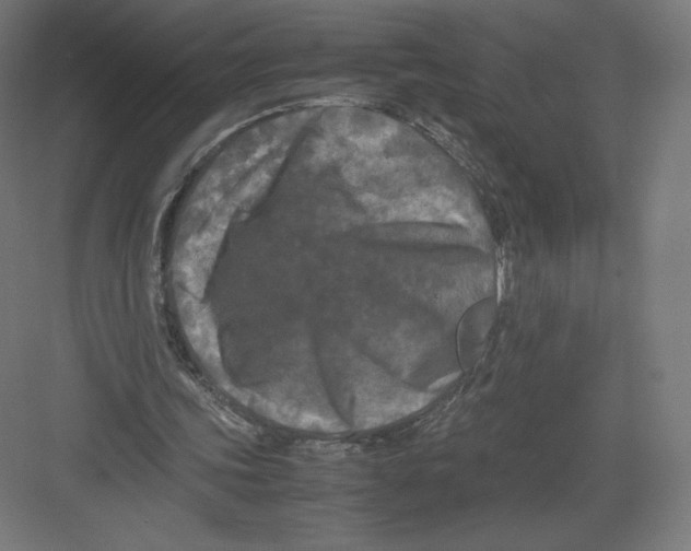 X0000082170339200702092249