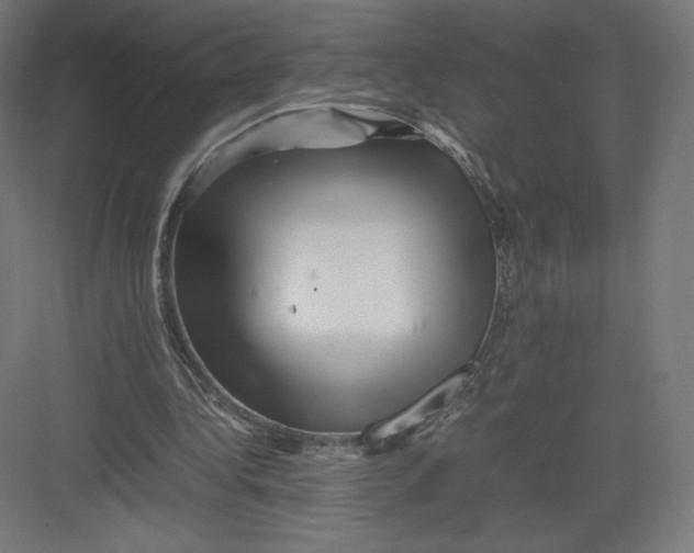 X0000082170340200702092249