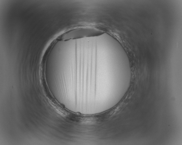 X0000082170342200702092249