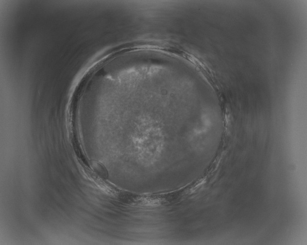 X0000082170343200702092249