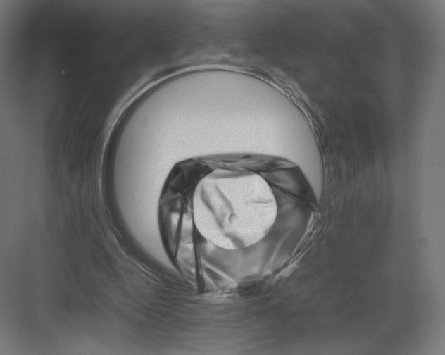 X0000082170344200702092249