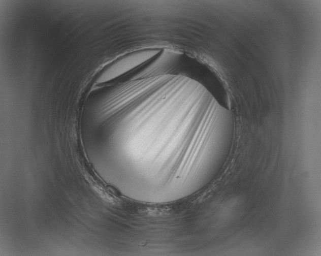 X0000082170345200702092249