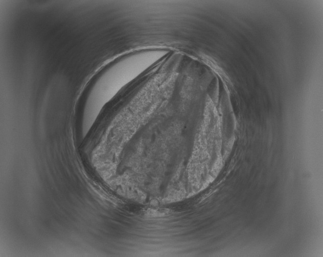 X0000082170346200702092249