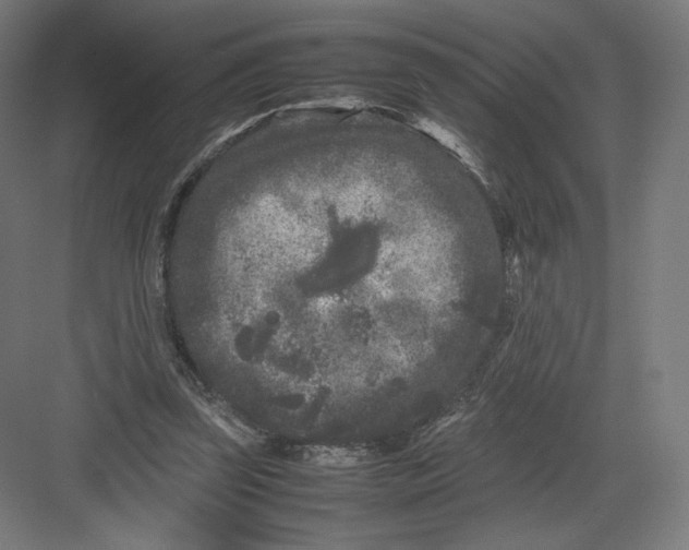 X0000082170347200702092249