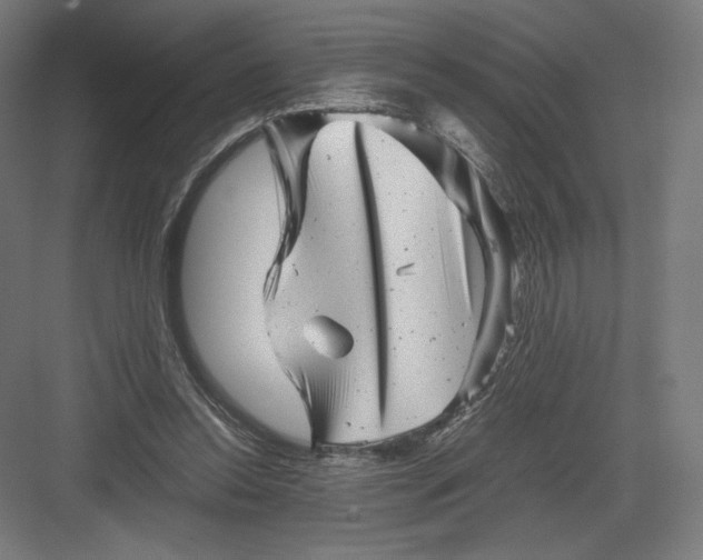 X0000082170350200702092249