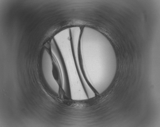 X0000082170352200702092249