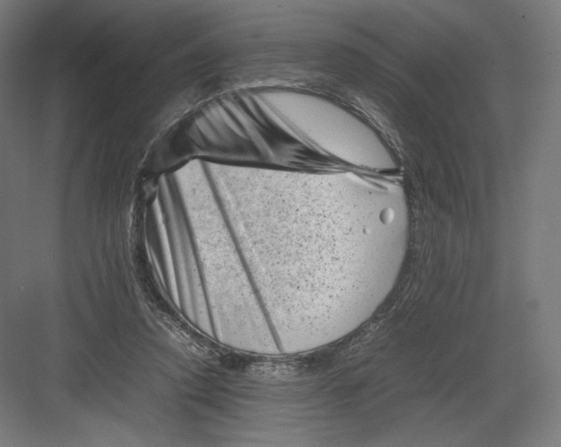 X0000082170354200702092249