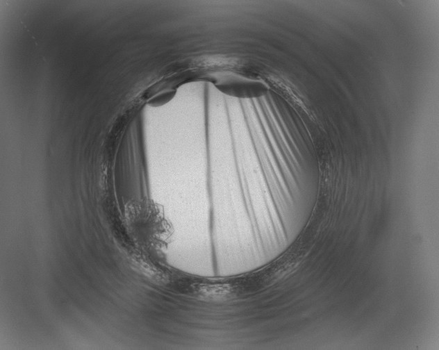 X0000082170355200702092249