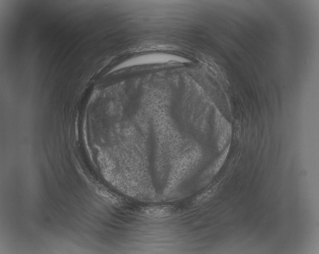 X0000082170358200702092249