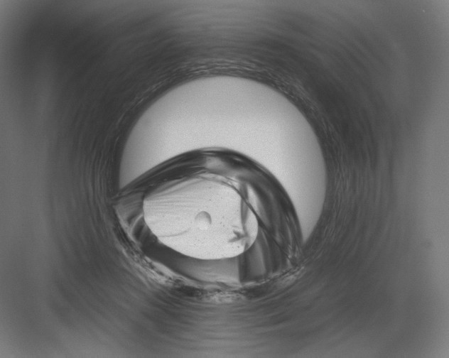 X0000082170360200702092249