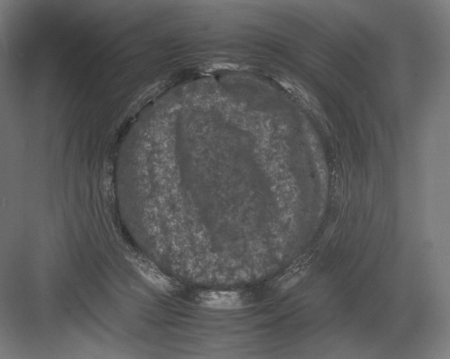 X0000082170361200702092249