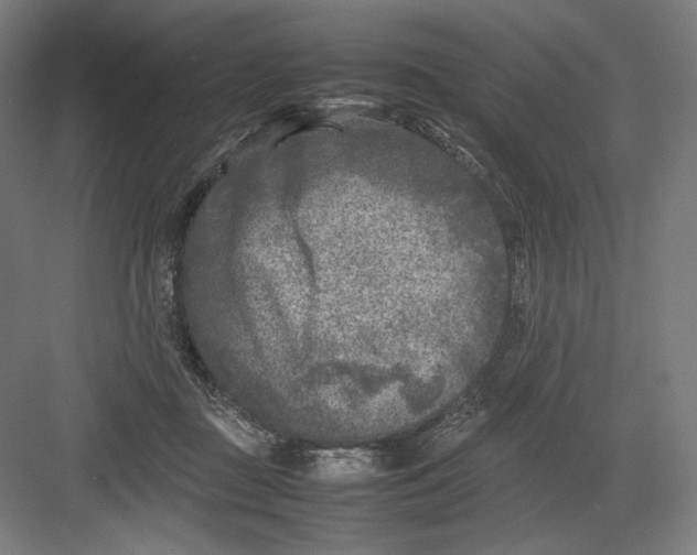 X0000082170363200702092249