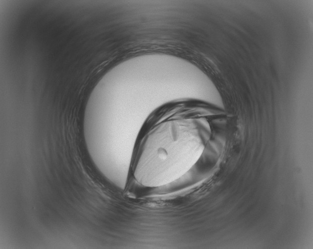 X0000082170364200702092249