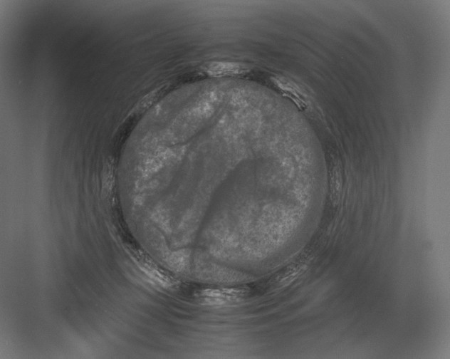 X0000082170367200702092249