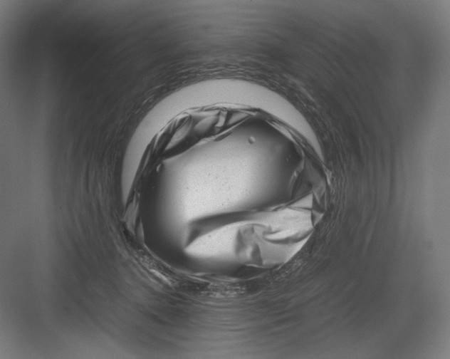 X0000082170368200702092249