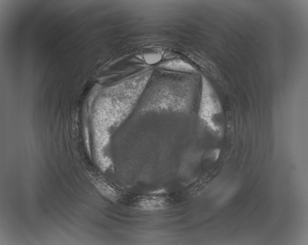 X0000082170369200702092249