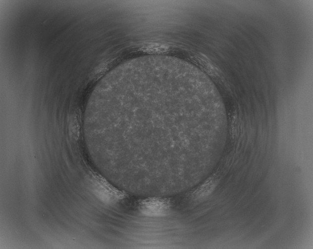 X0000082170370200702092249