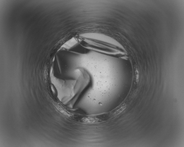 X0000082170372200702092250