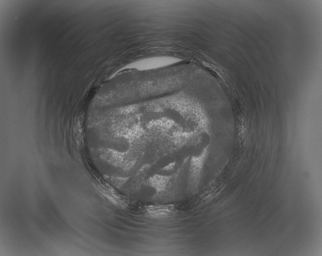 X0000082170373200702092250