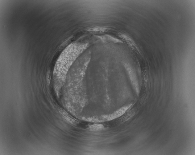 X0000082170374200702092250