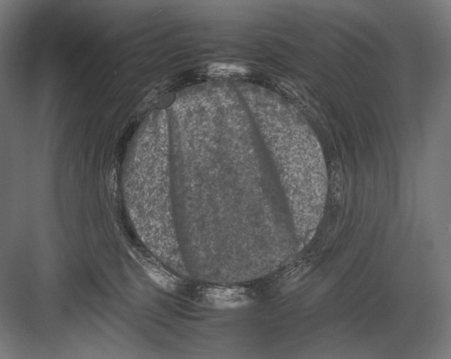 X0000082170375200702092250