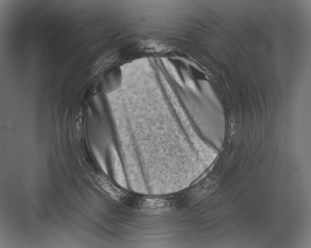 X0000082170376200702092250