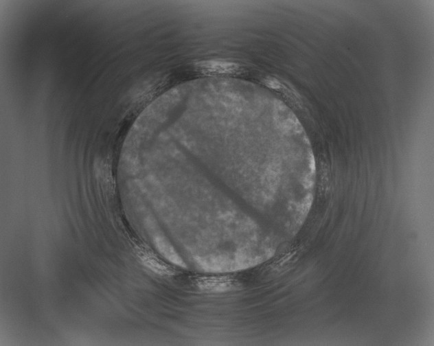 X0000082170377200702092250