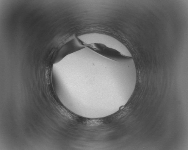 X0000082170378200702092250