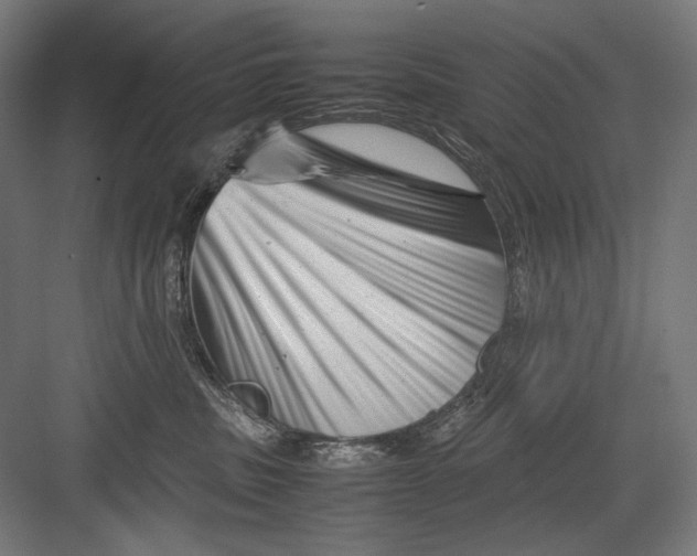 X0000082170379200702092250