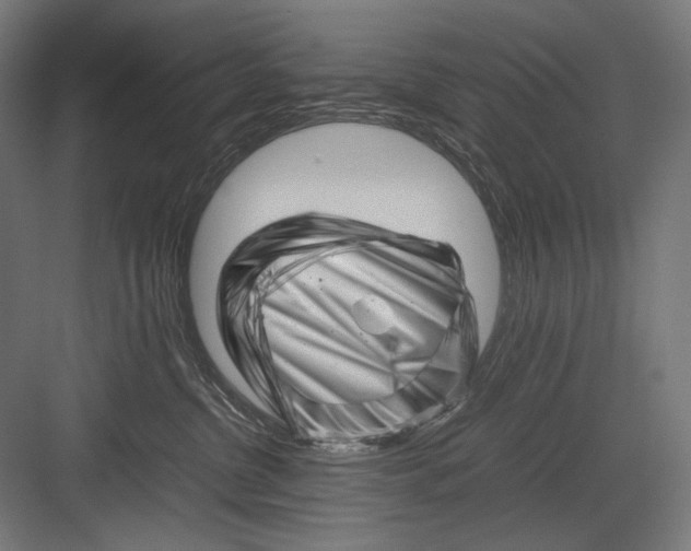 X0000082170380200702092250