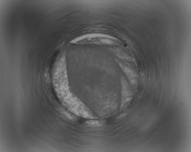 X0000082170381200702092250