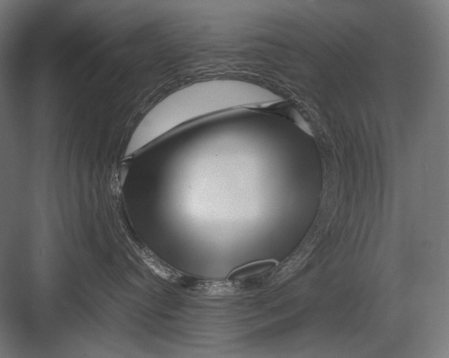 X0000082170384200702092250