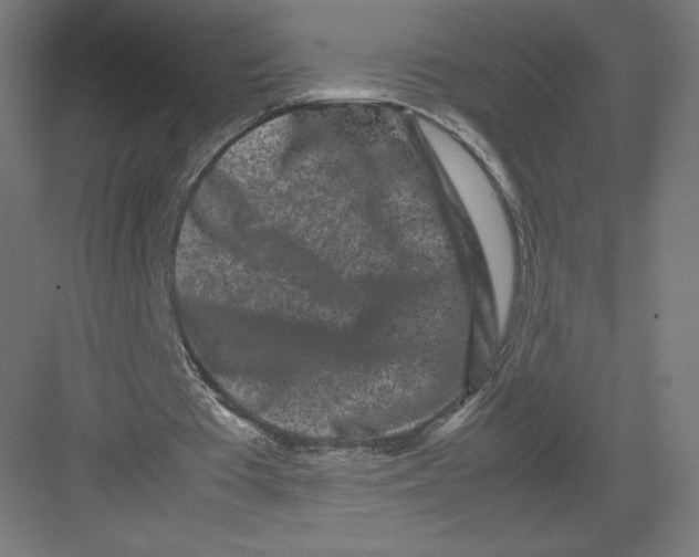 X0000082170385200702092249