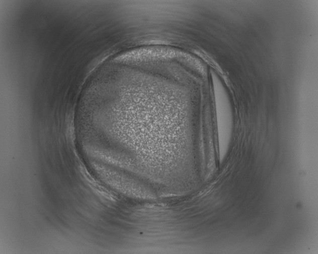 X0000082170386200702092249