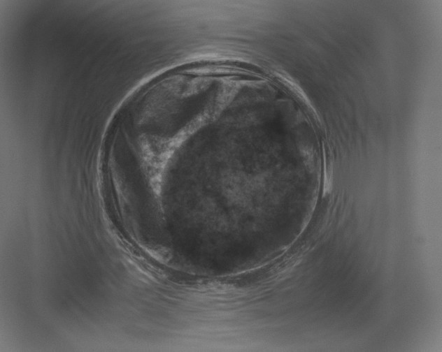 X0000082170387200702092249