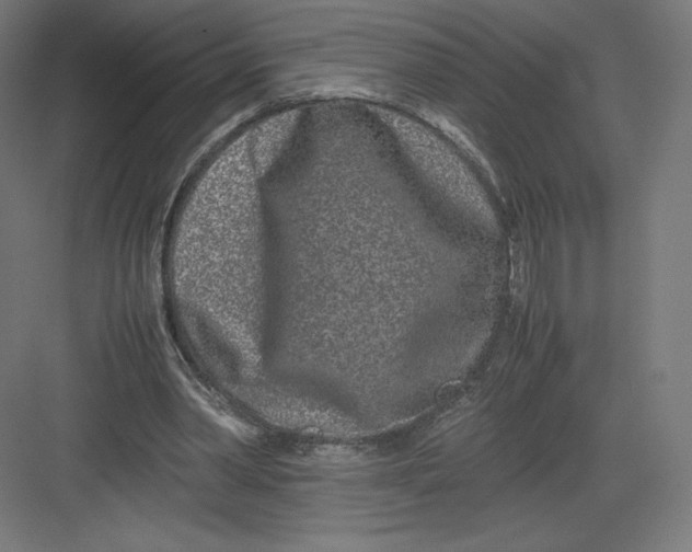 X0000082170390200702092249