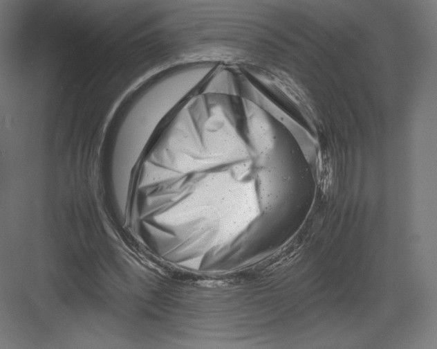 X0000082170392200702092249